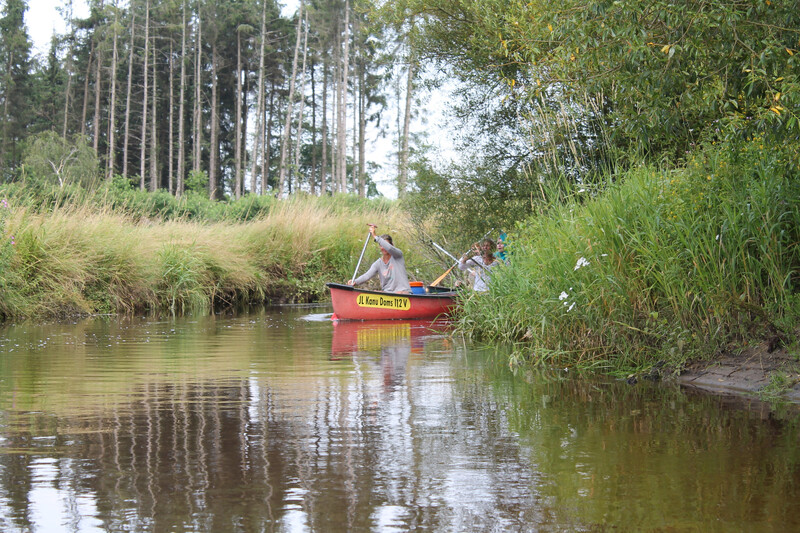 Menschen paddeln in einem Kanu über einen von Schilf und Wald gesäumten Fluss