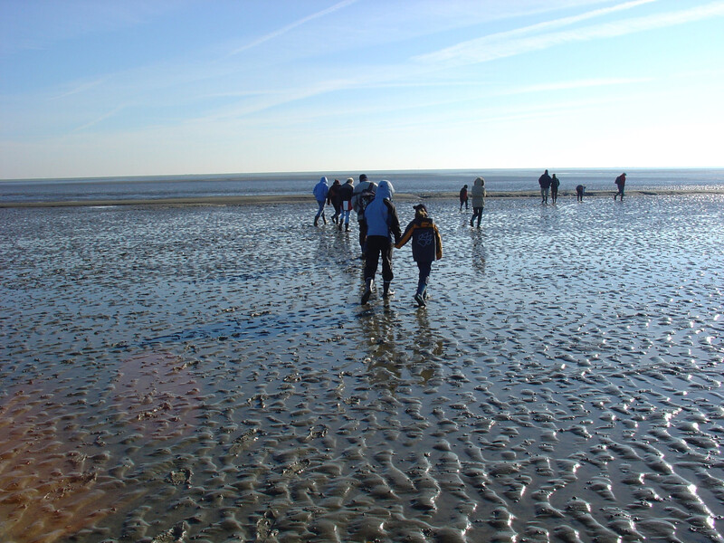 Warm angezogene Wattwanderer, darunter zwei Kinder Hand in Hand, gehen bei Ebbe über das Nordsee-Wattenmeer