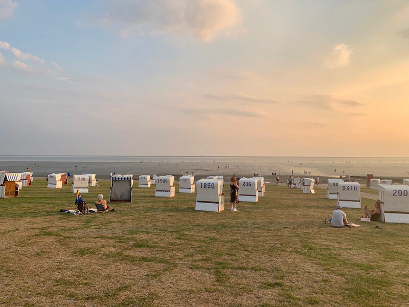 Nummerierte Strandkörbe auf einer Wiese am Nordsee-Wattenmeer im Abendlicht, mit Urlaubern und Blick aufs Watt