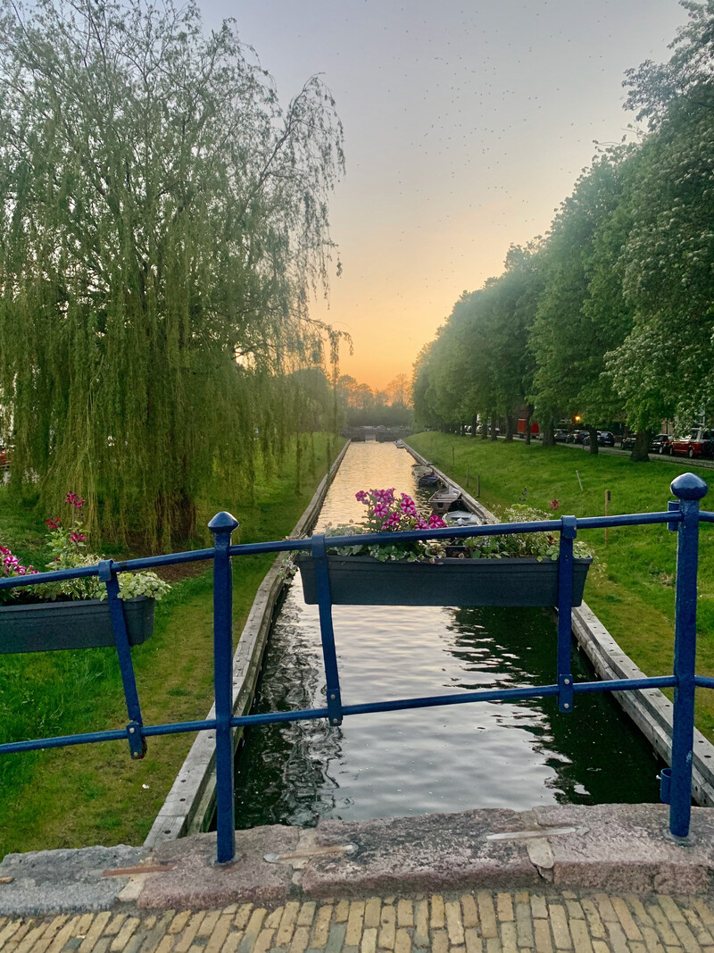 Blick von einer blumengeschmückten Brücke über eine Gracht in Friedrichstadt mit Trauerweiden und Sonnenuntergang