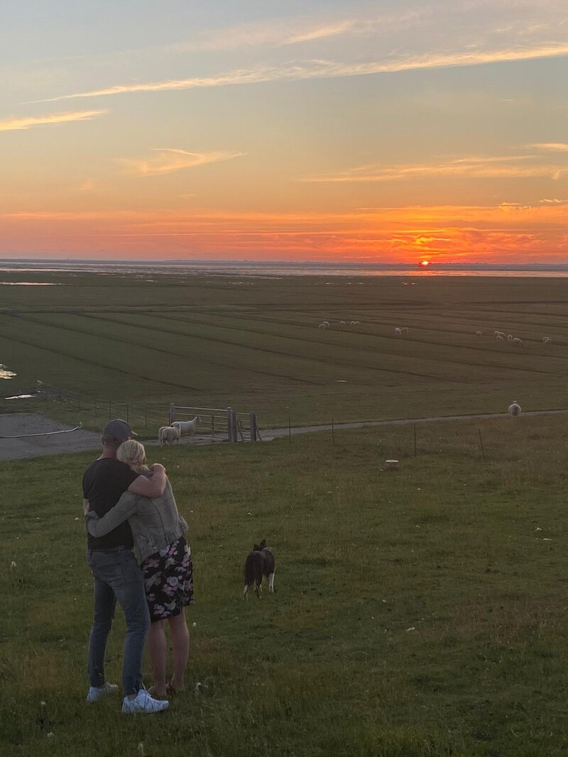Paar mit Hund blickt vom Deich auf den Sonnenuntergang über dem Wattenmeer, im Vordergrund Schafe auf den Salzwiesen
