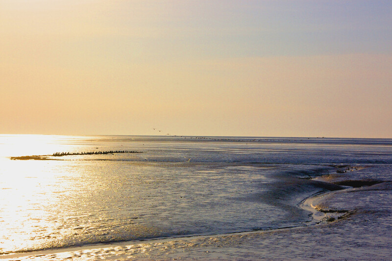 Weiter Blick über das Wattenmeer bei Ebbe im goldenen Abendlicht, mit Prielen, Sandbänken und Vögeln am Horizont