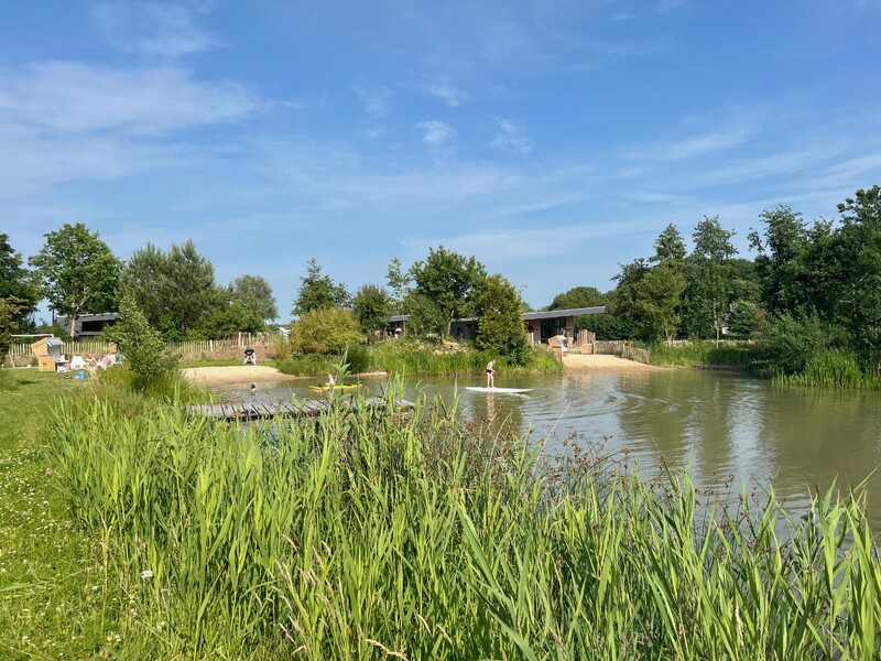 Naturbadesee, Schilf im Vordergrund, Holzsteg, Sandufer, Kinder im Wasser, kleines Boot, moderne Gebäude im Hintergrund, blauer Himmel