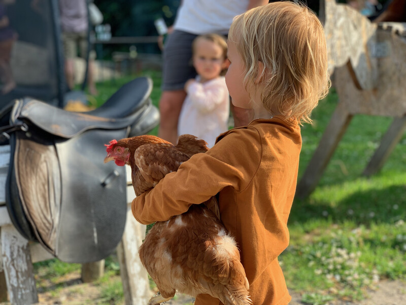 Kind hält Huhn im Arm, Bauernhof, Sattel auf Holzgestell, zweites Kind im Hintergrund, Wiese, warmes Licht