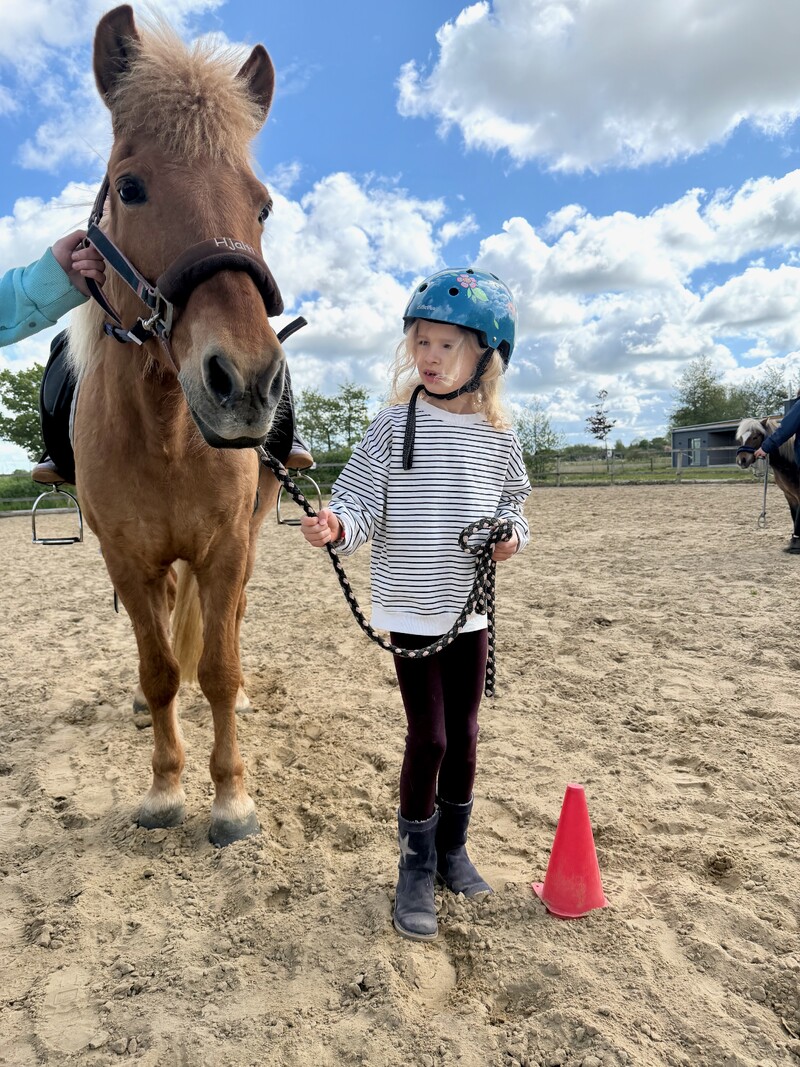 Kind mit Reithelm führt Pony am Strick, Reitplatz mit Sandboden, orangefarbener Kegel, weiteres Pferd im Hintergrund, bewölkter Himmel