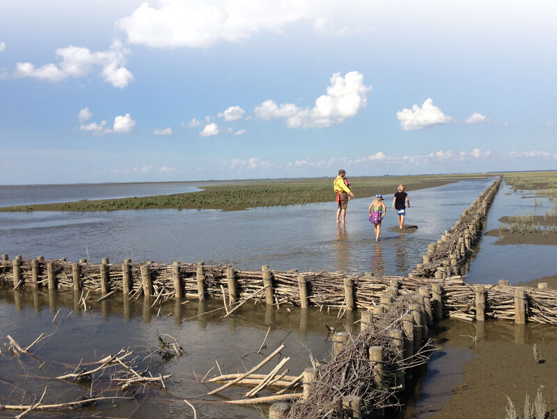 Küstenlandschaft, flaches Wasser, Holzbarrieren, Mann mit Kind auf dem Arm, zwei Kinder laufen barfuß durch Wasser, weiter Horizont, blauer Himmel, Wolken