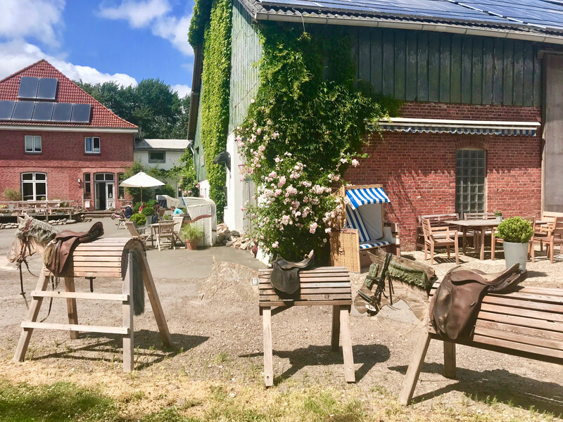 Ein sonniger Außenbereich am Warfthof Wollatz mit Sitzgelegenheiten und mehreren Holzpferden, auf denen Reitsättel befestigt sind.