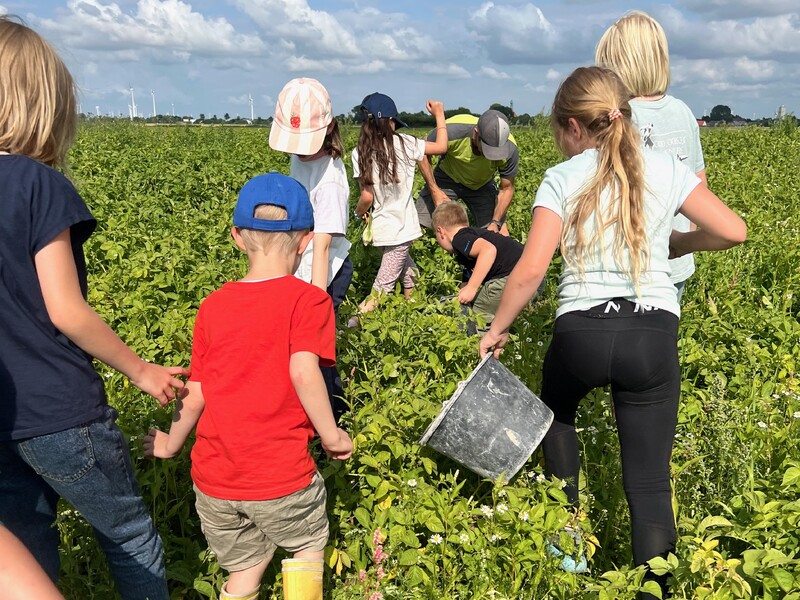Bauer York geht mit den Gästekinder Kartoffeln ernten auf seiner Hoftour.