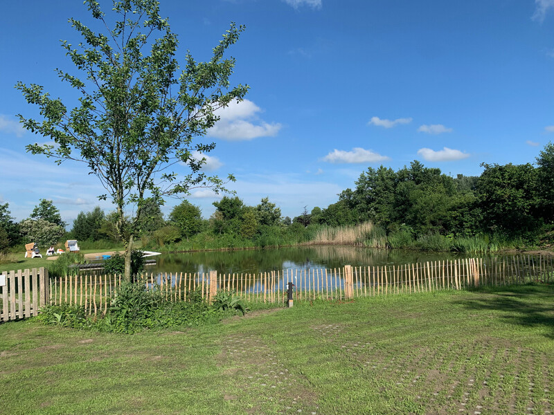 Naturnaher Schwimmteich mit Schilf, Holzzaun, Liegewiese und Strandkörben unter blauem Himmel