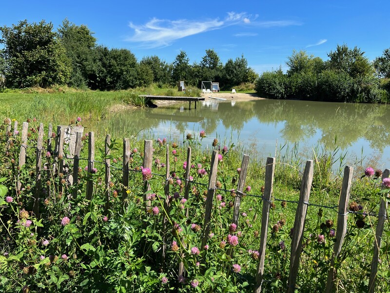 Naturteich am Warfthof Wollatz mit Sandstrand, Steg und Strandkorb, im Vordergrund blühende Wildblumen